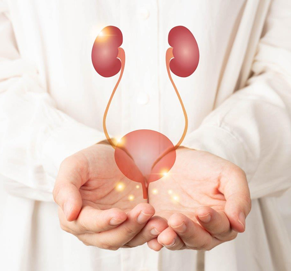 UTI Bladder Infection